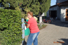 P9208903_4_11zon