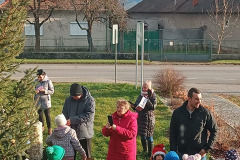 IMG-20241209-WA0006_21_11zon